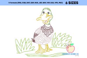 Mallard Duck on grass Quick Design