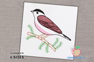 Sparrow Bird Sketch Embroidery