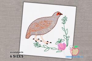 Nahan's partridge Sketch Embroidery