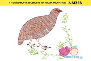 Nahan's partridge Sketch Embroidery