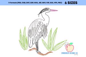 Grey Heron standing in water Line Art