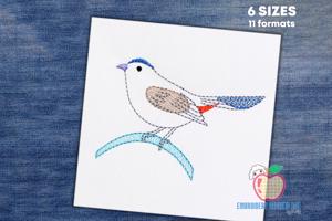 Catbird Gray Sketch Embroidery
