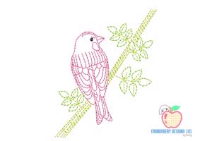 Cassin's finch Bird Quick Stitch