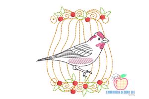 Cassin's finch Quick Stitch