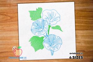 Morning Glory Flower Sketch Embroidery